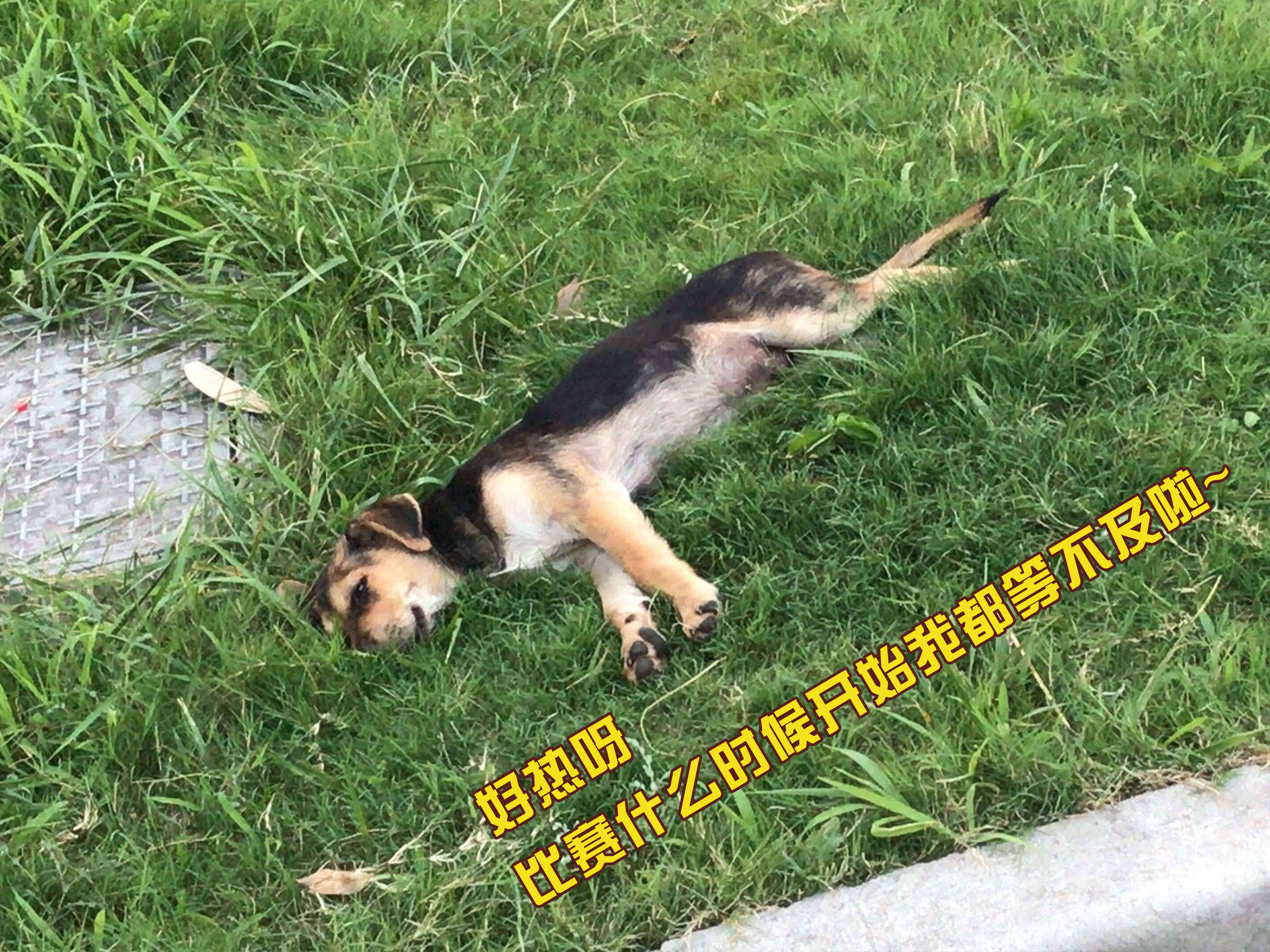 今天37℃？但我们的热情绝对不止于此！(图2)